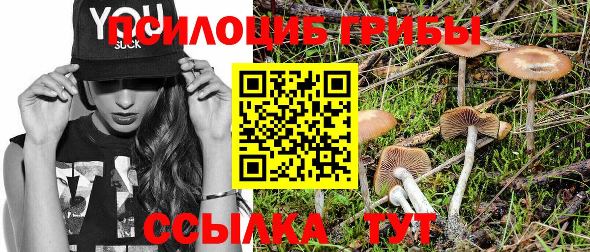 Псилоцибиновые грибы прущие грибы Кондопога